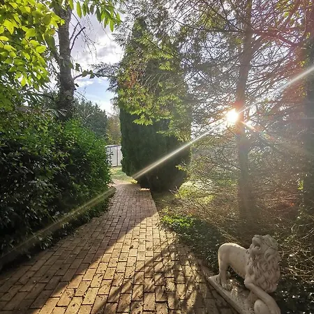 Domaine Aux Lions - Piscine Chauffee Tennis 20 Min Deauville *